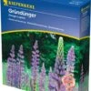 Dünge-Lupine, 1 Kg 2 Dünge-Lupine, 1 Kg -Deutschland Gartenbedarf Verkäufe 2024 kiepenkerl duenge lupine 1 kg 1519364 de