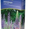 Dünge-Lupine 2 Kg, 2 Kg -Deutschland Gartenbedarf Verkäufe 2024 kiepenkerl duenge lupine 2 kg 1646786 de
