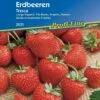 Erdbeeren "Tresca" -Deutschland Gartenbedarf Verkäufe 2024 kiepenkerl erdbeeren fresca 1 pkt 1188374 de