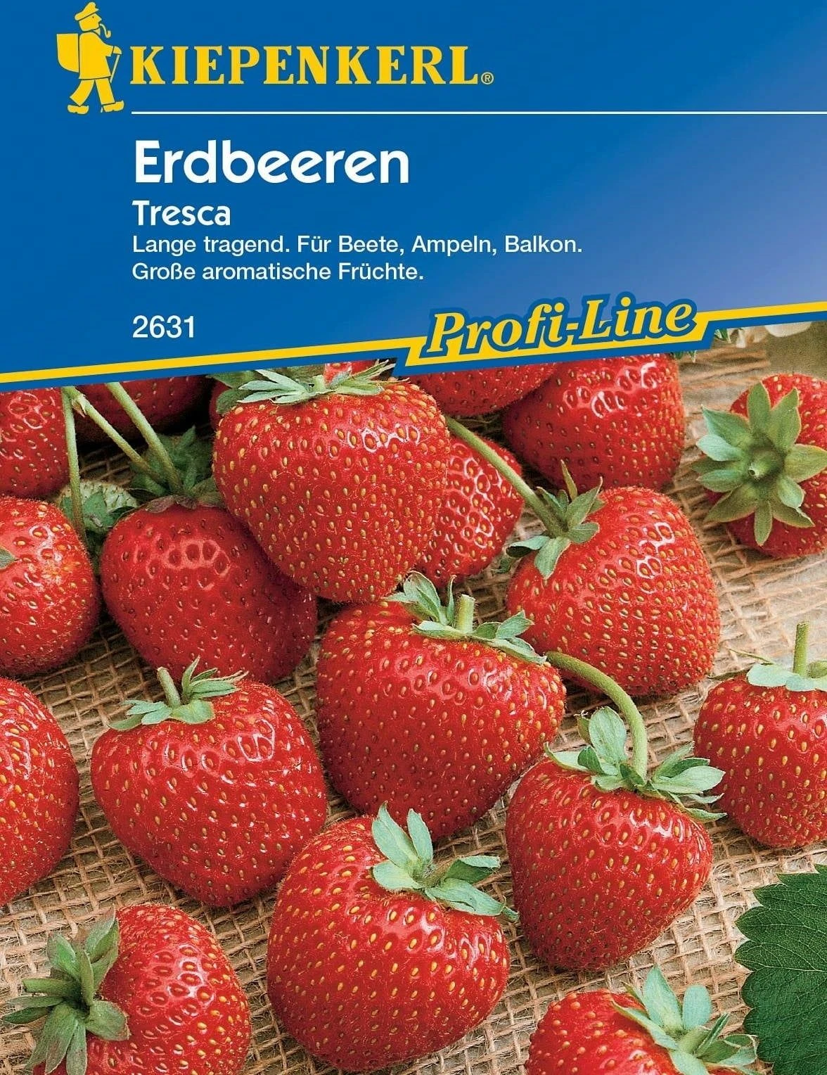 Erdbeeren "Tresca" 3 Erdbeeren "Tresca"