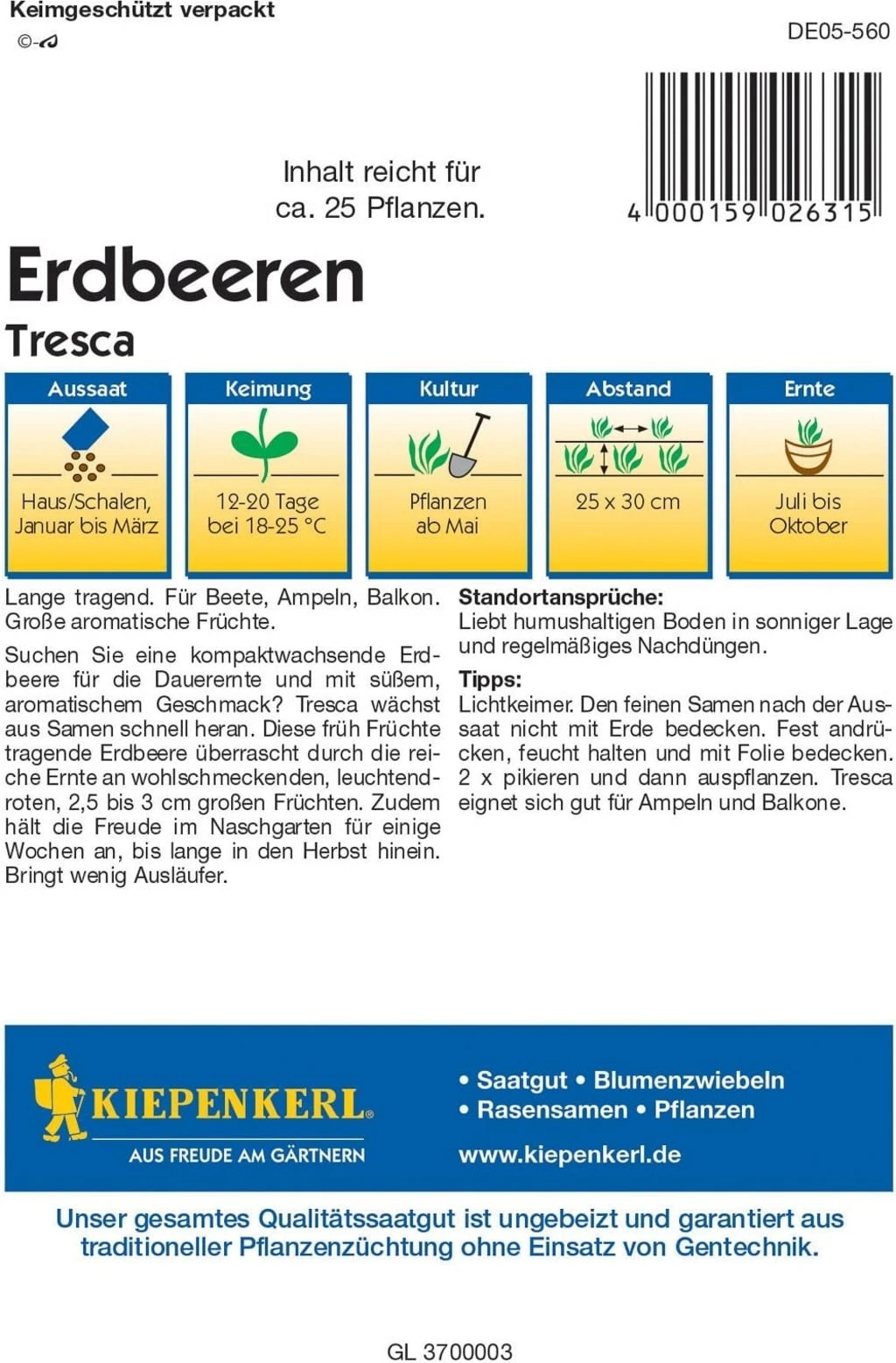 Erdbeeren "Tresca" 4 Erdbeeren "Tresca" – Bild 2
