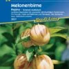 Melonenbirne "Pepino" 1 Melonenbirne "Pepino" -Deutschland Gartenbedarf Verkäufe 2024 kiepenkerl melonenbirne pepino 1 pkg 1556883 de
