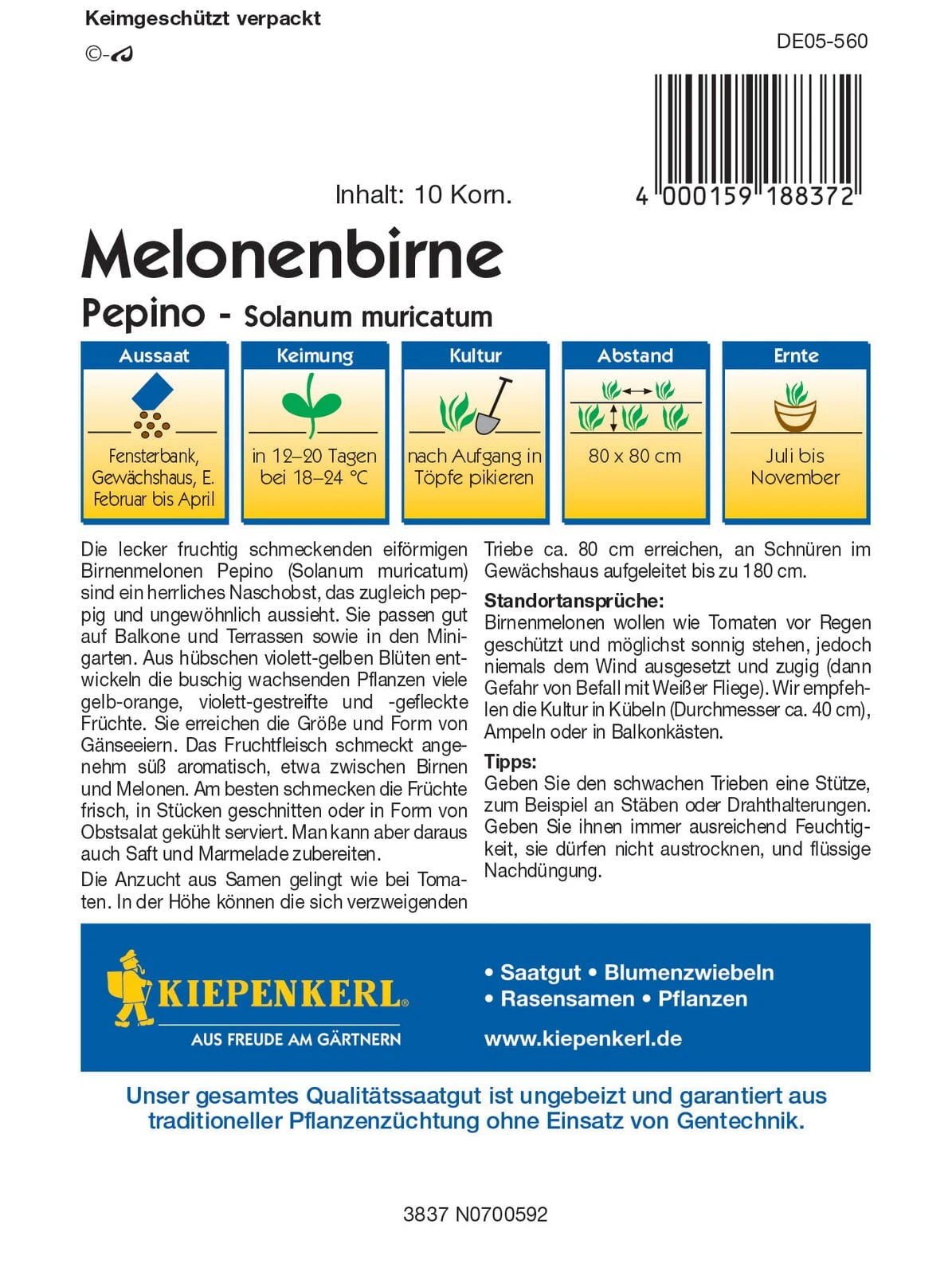 Melonenbirne "Pepino" 4 Melonenbirne "Pepino" – Bild 2