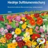 Niedrige Duftblumenmischung -Deutschland Gartenbedarf Verkäufe 2024 kiepenkerl niedrige duftblumenmischung 1 pkt 1203944 de