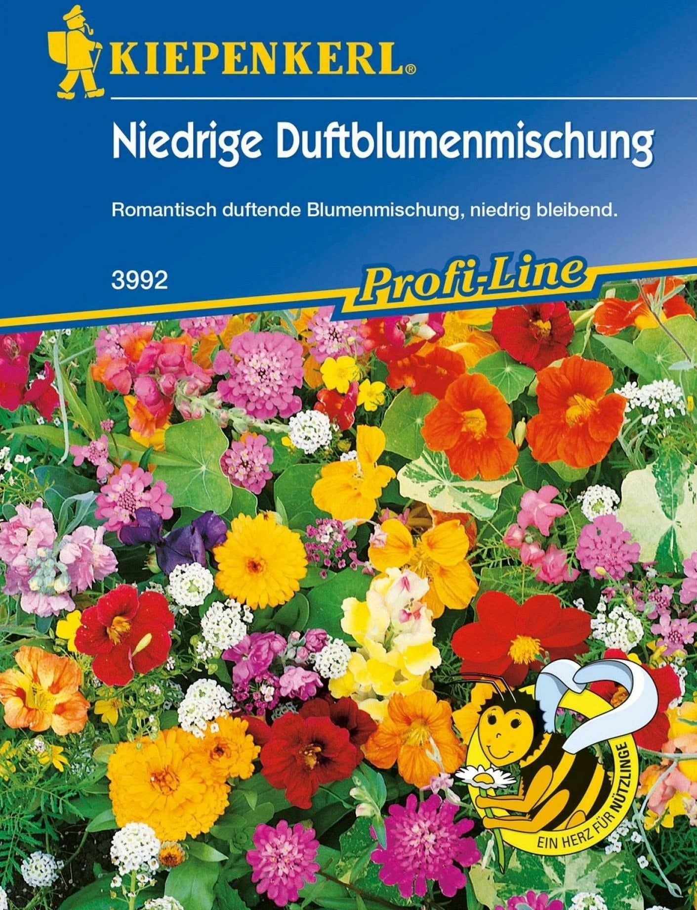 Niedrige Duftblumenmischung 3 Niedrige Duftblumenmischung