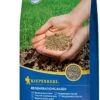 Regenerations-Rasen "Verino", 1 Kg 1 Regenerations-Rasen "Verino", 1 Kg -Deutschland Gartenbedarf Verkäufe 2024 kiepenkerl regenerations rasen verino 1 kg 519960 de