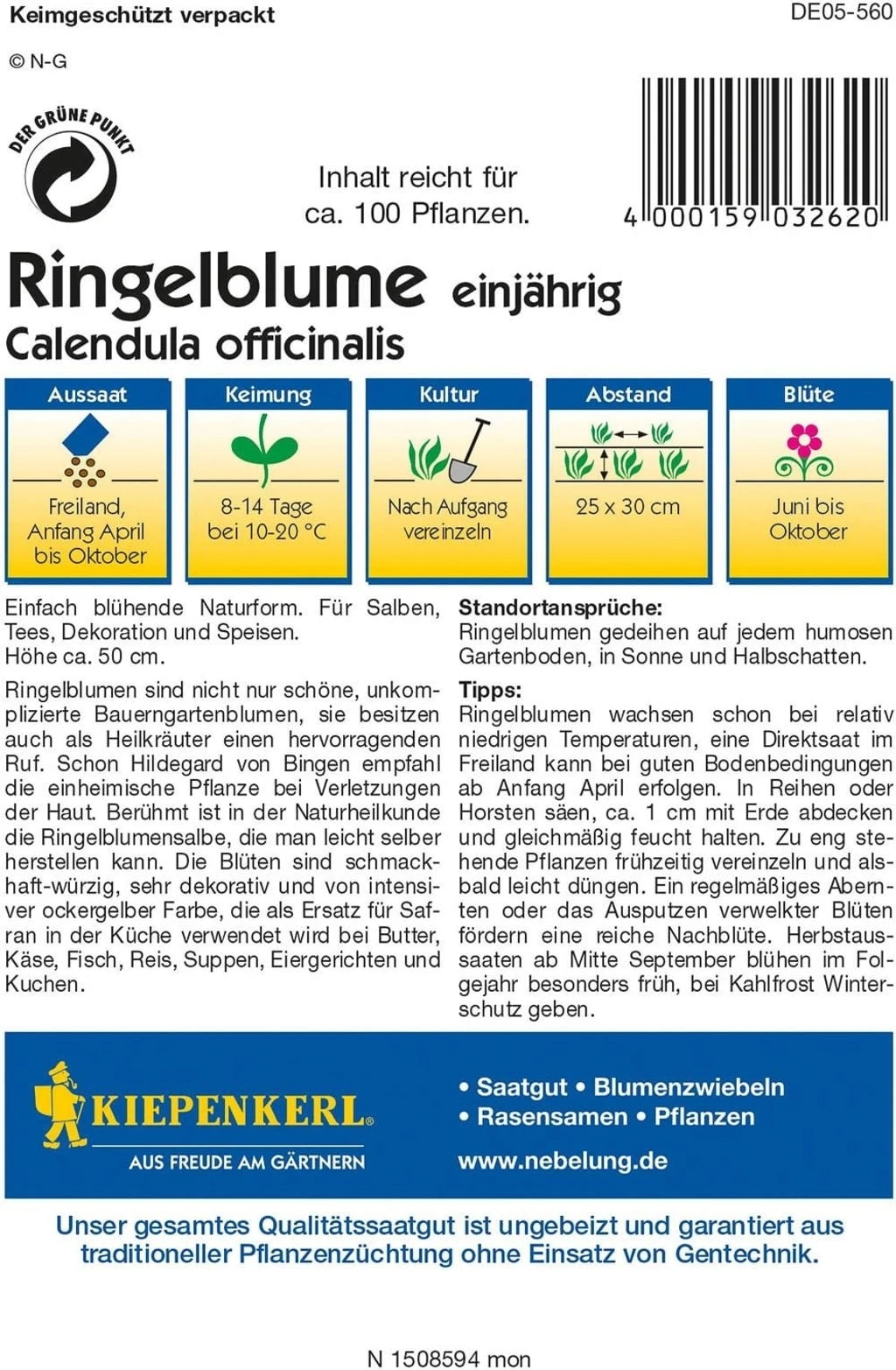 Ringelblume 4 Ringelblume – Bild 2