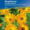 Ringelblume -Deutschland Gartenbedarf Verkäufe 2024 kiepenkerl ringelblume 1 pkt 1187900 de