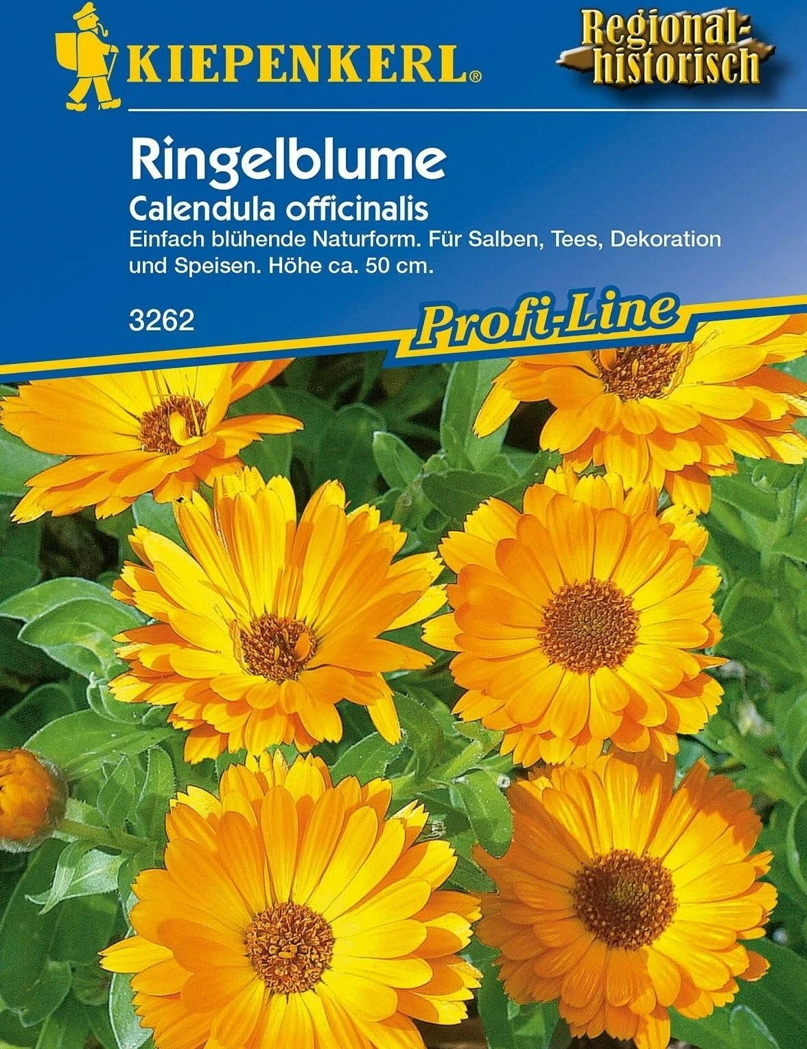 Ringelblume 3 Ringelblume