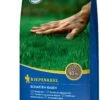 Schatten-Rasen, 1 Kg -Deutschland Gartenbedarf Verkäufe 2024 kiepenkerl schatten rasen 1 kg 519926 de