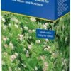 Serradella, 0,4 Kg 2 Serradella, 0,4 Kg -Deutschland Gartenbedarf Verkäufe 2024 kiepenkerl serradella 04 kg 1 paket 1676405 de