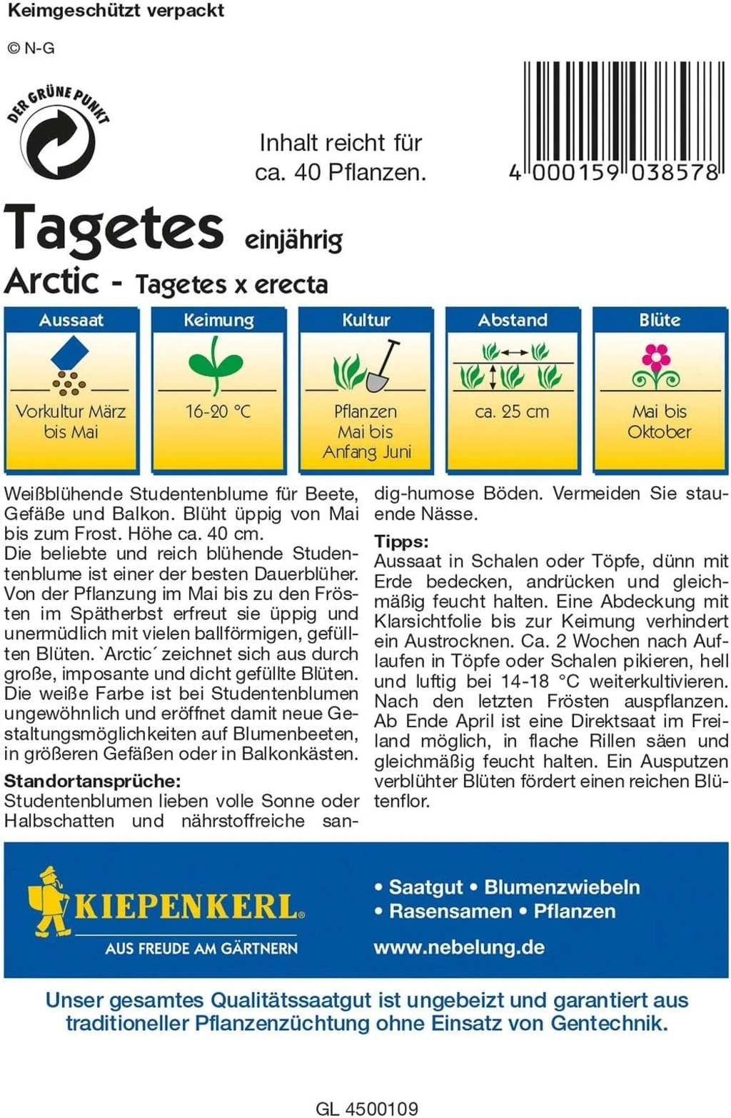 Tagetes "Arctic" 3 Tagetes "Arctic"