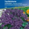 Vanilleblume "Vanillezauber" -Deutschland Gartenbedarf Verkäufe 2024 kiepenkerl vanilleblume vanillezauber 1 pkt 1187740 de