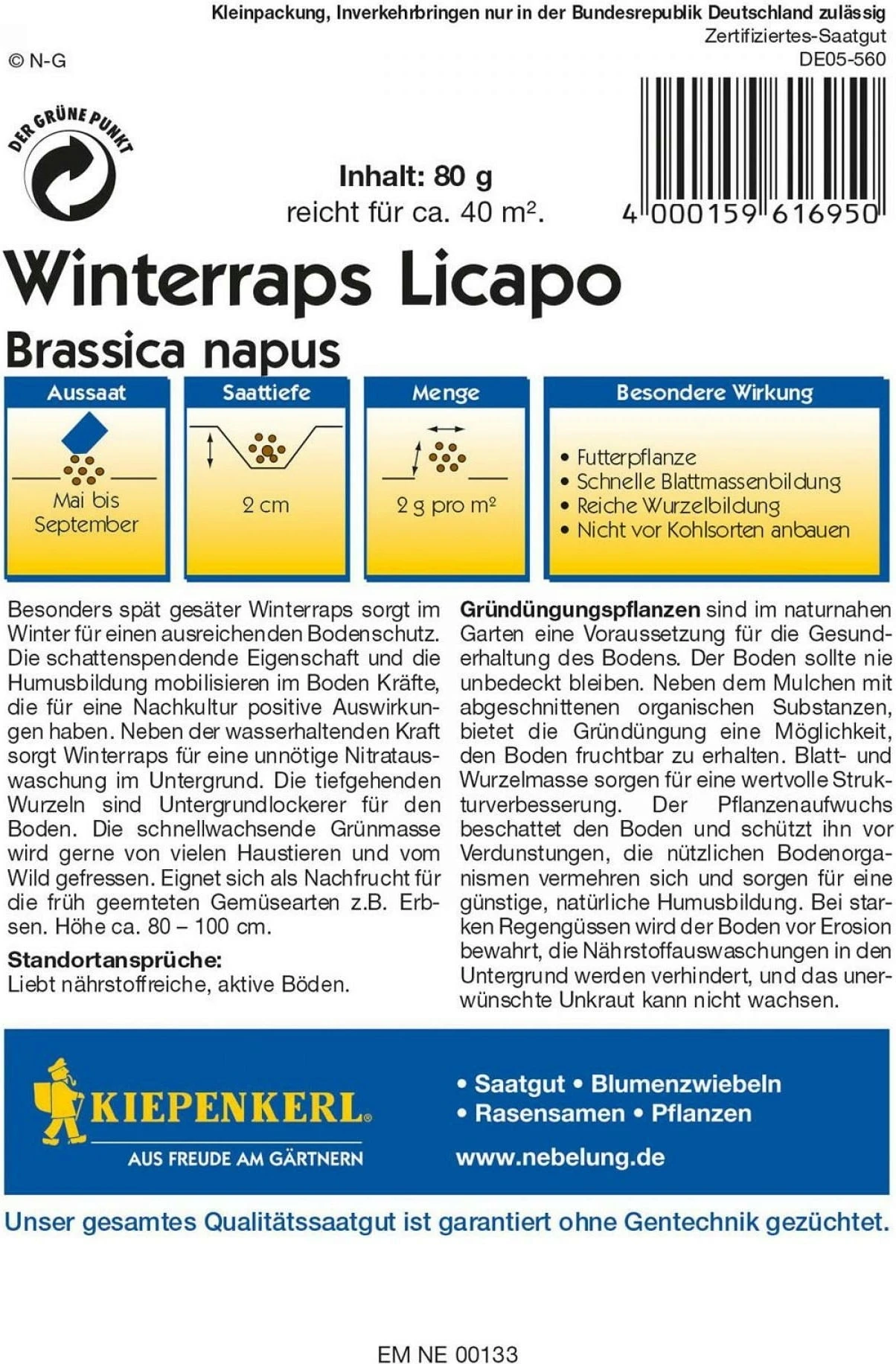 Winterraps "Licapo" 3 Winterraps "Licapo"