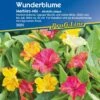 Wunderblume "Marbles-Mix"