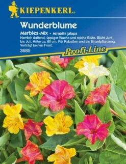 Wunderblume "Marbles-Mix"