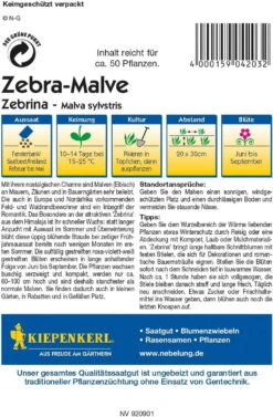Zebra-Malve "Zebrina"