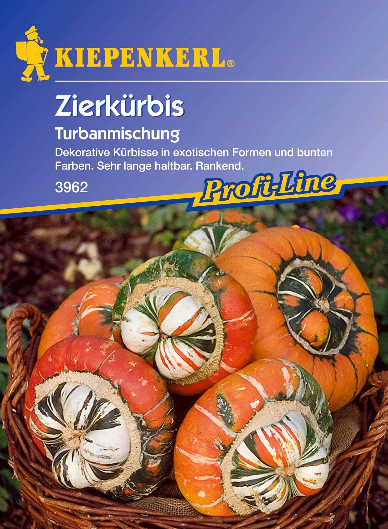 Zierkürbis "Turban-Mischung" 4 Zierkürbis "Turban-Mischung" – Bild 2