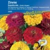 Zinnien "Espana Mix" 1 Zinnien "Espana Mix" -Deutschland Gartenbedarf Verkäufe 2024 kiepenkerl zinnien espana mix 1519328 de