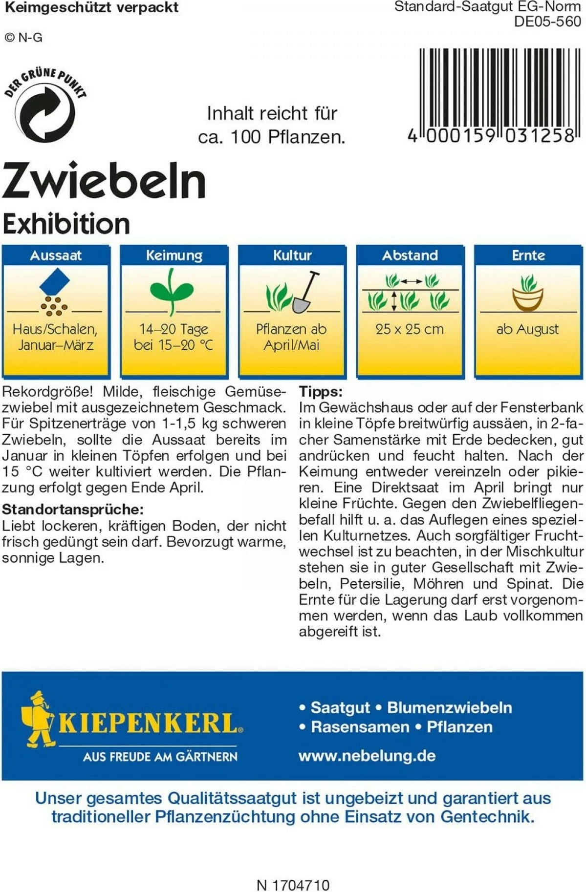 Zwiebeln "Exhibition" 4 Zwiebeln "Exhibition" – Bild 2