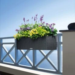 LECHUZA BALCONERA Starter Set -Deutschland Gartenbedarf Verkäufe 2024 lechuza balconera starter set 1208487 de