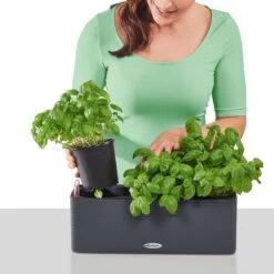 LECHUZA CUBE Color Triple Komplett-Set, Sandbraun -Deutschland Gartenbedarf Verkäufe 2024 lechuza balconissima color 40 komplett set 648882 de