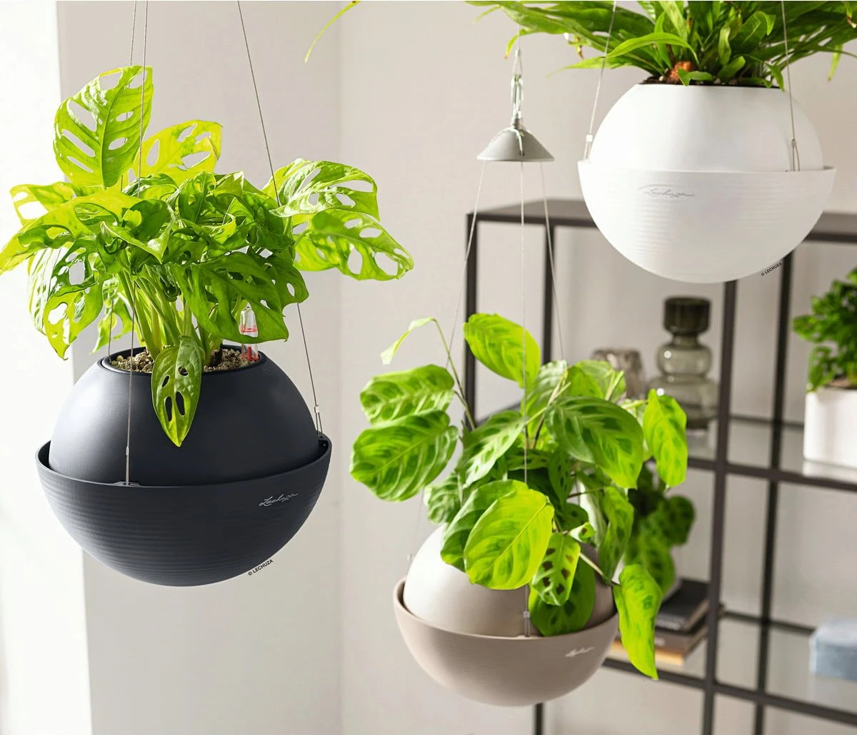 LECHUZA Blumenampel BOLA Color 32, Sandbraun 4 LECHUZA Blumenampel BOLA Color 32, Sandbraun – Bild 2