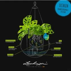 LECHUZA Blumenampel BOLA Color 32, Sandbraun 11 LECHUZA Blumenampel BOLA Color 32, Sandbraun -Deutschland Gartenbedarf Verkäufe 2024 lechuza blumenampel bola color 32 1190320 de