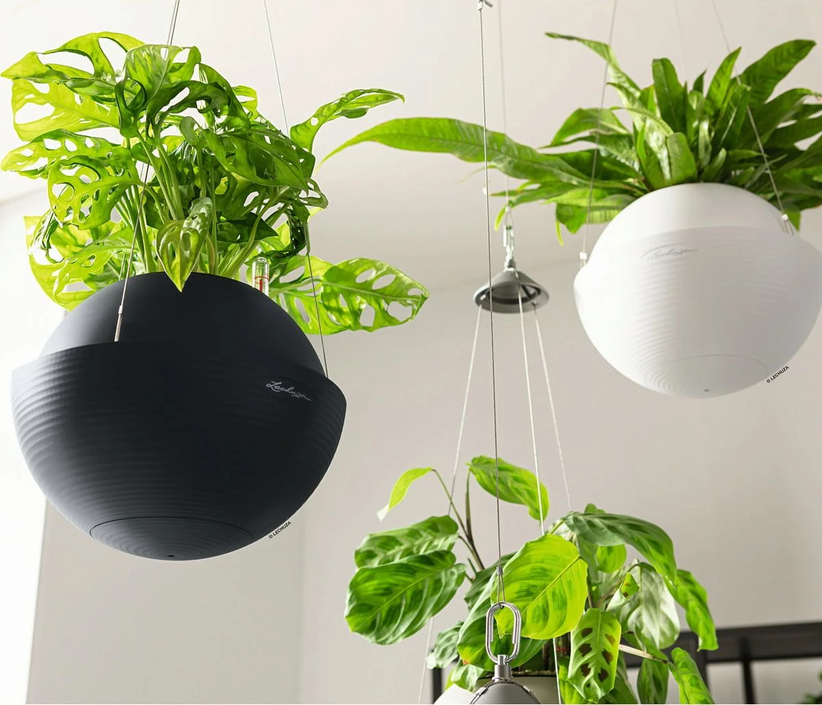 LECHUZA Blumenampel BOLA Color 32, Sandbraun 7 LECHUZA Blumenampel BOLA Color 32, Sandbraun – Bild 5