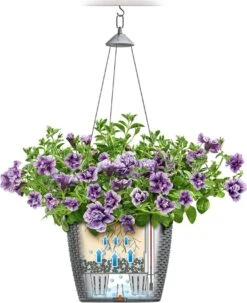 LECHUZA Blumenampel NIDO Cottage 35, Weiß -Deutschland Gartenbedarf Verkäufe 2024 lechuza blumenampel nido cottage 35 1166206 de