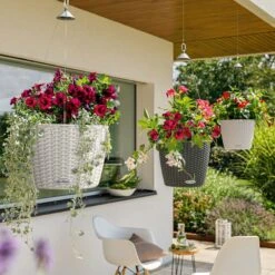 LECHUZA Blumenampel NIDO Cottage 35, Weiß -Deutschland Gartenbedarf Verkäufe 2024 lechuza blumenampel nido cottage 35 1172196 de