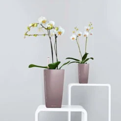 LECHUZA Tischgefäß MAXI CUBI, Weiß Hochglanz 13 LECHUZA Tischgefäß MAXI CUBI, Weiß Hochglanz -Deutschland Gartenbedarf Verkäufe 2024 lechuza maxi cubi tischgefaess 1185397 de