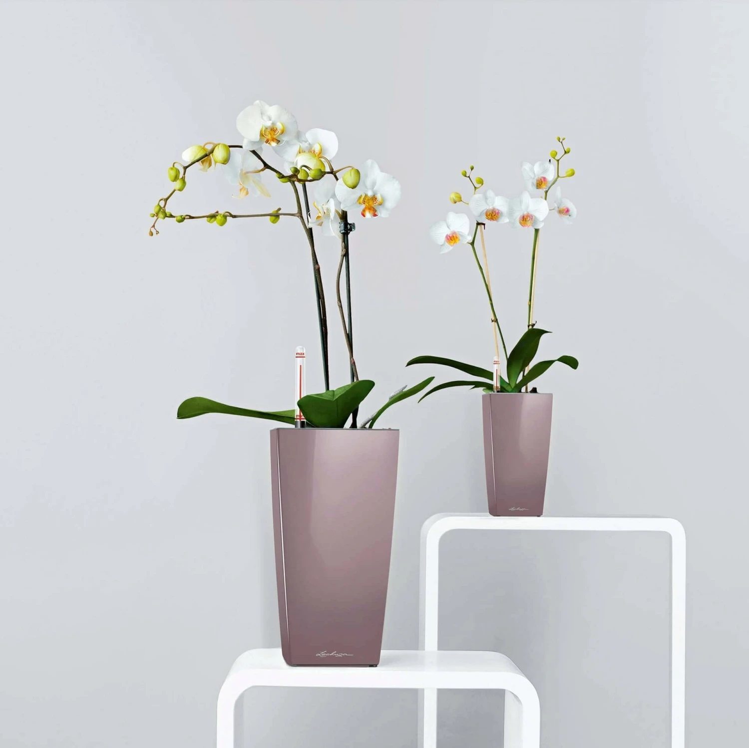 LECHUZA Tischgefäß MAXI CUBI, Weiß Hochglanz 6 LECHUZA Tischgefäß MAXI CUBI, Weiß Hochglanz – Bild 4