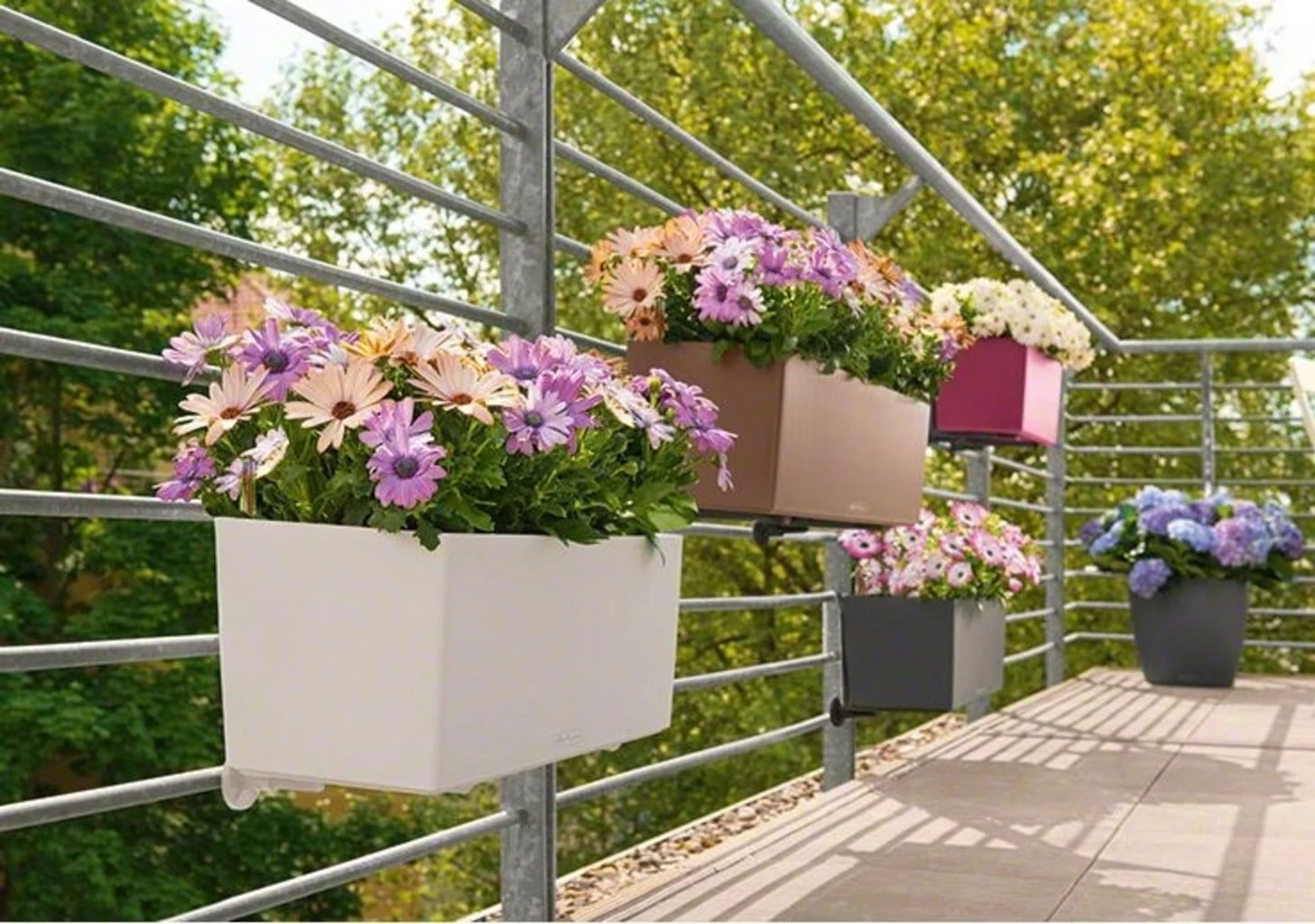 LECHUZA Pflanzgefäß BALCONERA Color 80, Schiefergrau 9 LECHUZA Pflanzgefäß BALCONERA Color 80, Schiefergrau – Bild 7