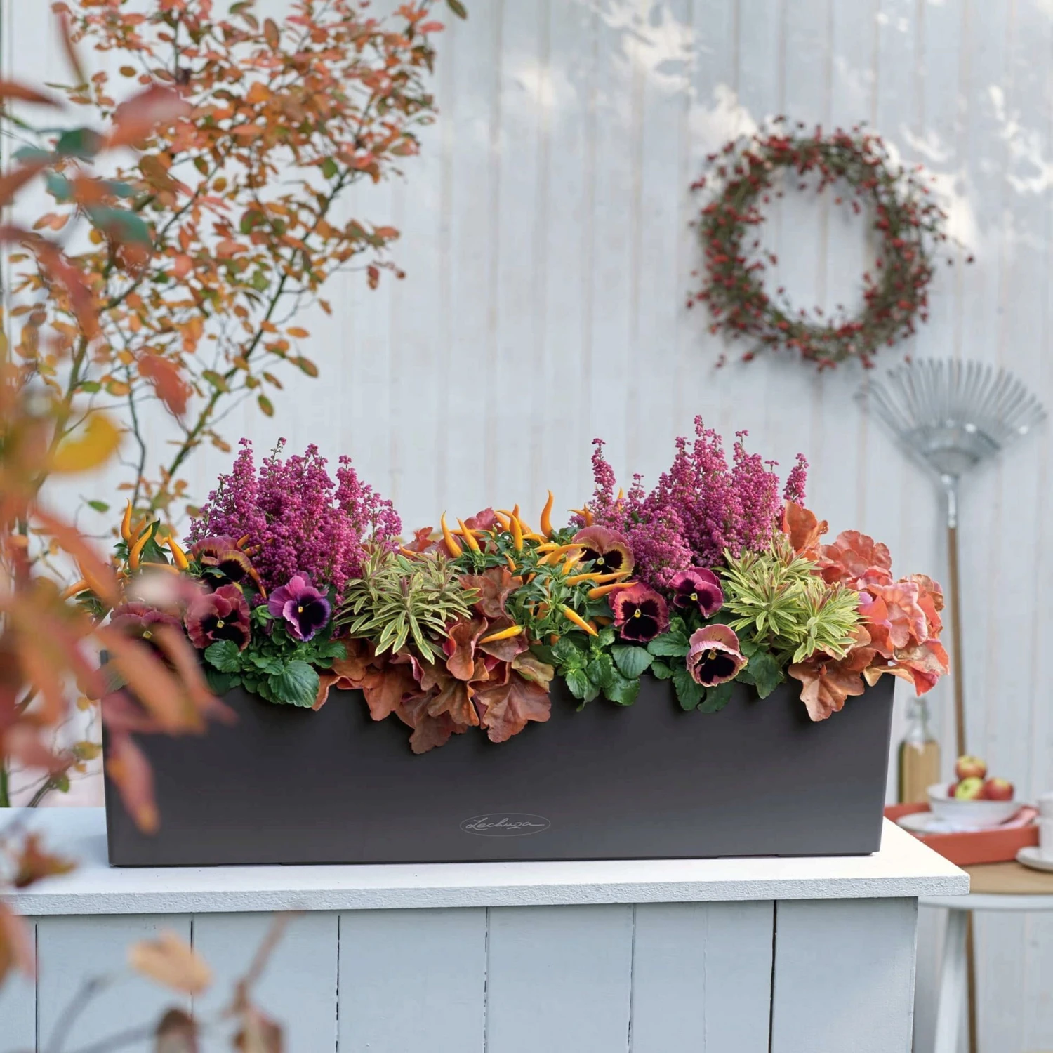 LECHUZA Pflanzgefäß BALCONERA Color 80, Schiefergrau 4 LECHUZA Pflanzgefäß BALCONERA Color 80, Schiefergrau – Bild 2