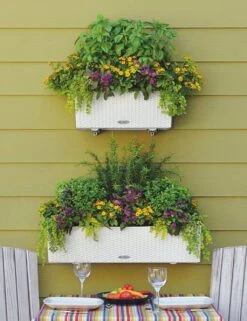 LECHUZA Pflanzgefäß BALCONERA Cottage 80, Weiß -Deutschland Gartenbedarf Verkäufe 2024 lechuza pflanzgefaess balconera cottage 80 1667388 de