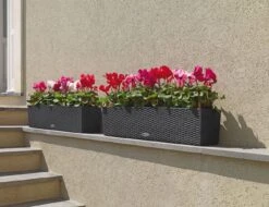 LECHUZA Pflanzgefäß BALCONERA Cottage 80, Weiß -Deutschland Gartenbedarf Verkäufe 2024 lechuza pflanzgefaess balconera cottage 80 1667391 de