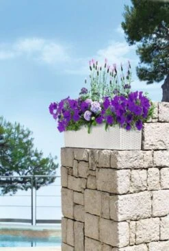 LECHUZA Pflanzgefäß BALCONERA Cottage 80, Weiß -Deutschland Gartenbedarf Verkäufe 2024 lechuza pflanzgefaess balconera cottage 80 vit 1667387 de