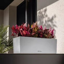 LECHUZA Pflanzgefäß BALCONERA Steel, 50 Cm -Deutschland Gartenbedarf Verkäufe 2024 lechuza pflanzgefaess balconera steel 50 cm 1617317 de