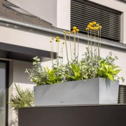 LECHUZA Pflanzgefäß BALCONERA Steel, 50 Cm -Deutschland Gartenbedarf Verkäufe 2024 lechuza pflanzgefaess balconera steel 50 cm 1617325 de