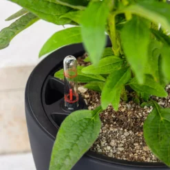 LECHUZA Pflanzgefäß CLASSICO Color LS 35, Sandbraun -Deutschland Gartenbedarf Verkäufe 2024 lechuza pflanzgefaess classico color ls 35 muskat 1617143 de