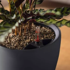 LECHUZA Pflanzgefäß CLASSICO Color LS 35, Sandbraun -Deutschland Gartenbedarf Verkäufe 2024 lechuza pflanzgefaess classico color ls 35 muskat 1617145 de