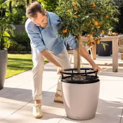 LECHUZA Pflanzgefäß CLASSICO Color LS 43, Sandbraun 12 LECHUZA Pflanzgefäß CLASSICO Color LS 43, Sandbraun -Deutschland Gartenbedarf Verkäufe 2024 lechuza pflanzgefaess classico color ls 43 muskat 1617053 de