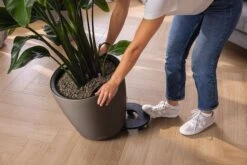 LECHUZA Pflanzgefäß CLASSICO Color LS 43, Sandbraun 13 LECHUZA Pflanzgefäß CLASSICO Color LS 43, Sandbraun -Deutschland Gartenbedarf Verkäufe 2024 lechuza pflanzgefaess classico color ls 43 muskat 1617089 de