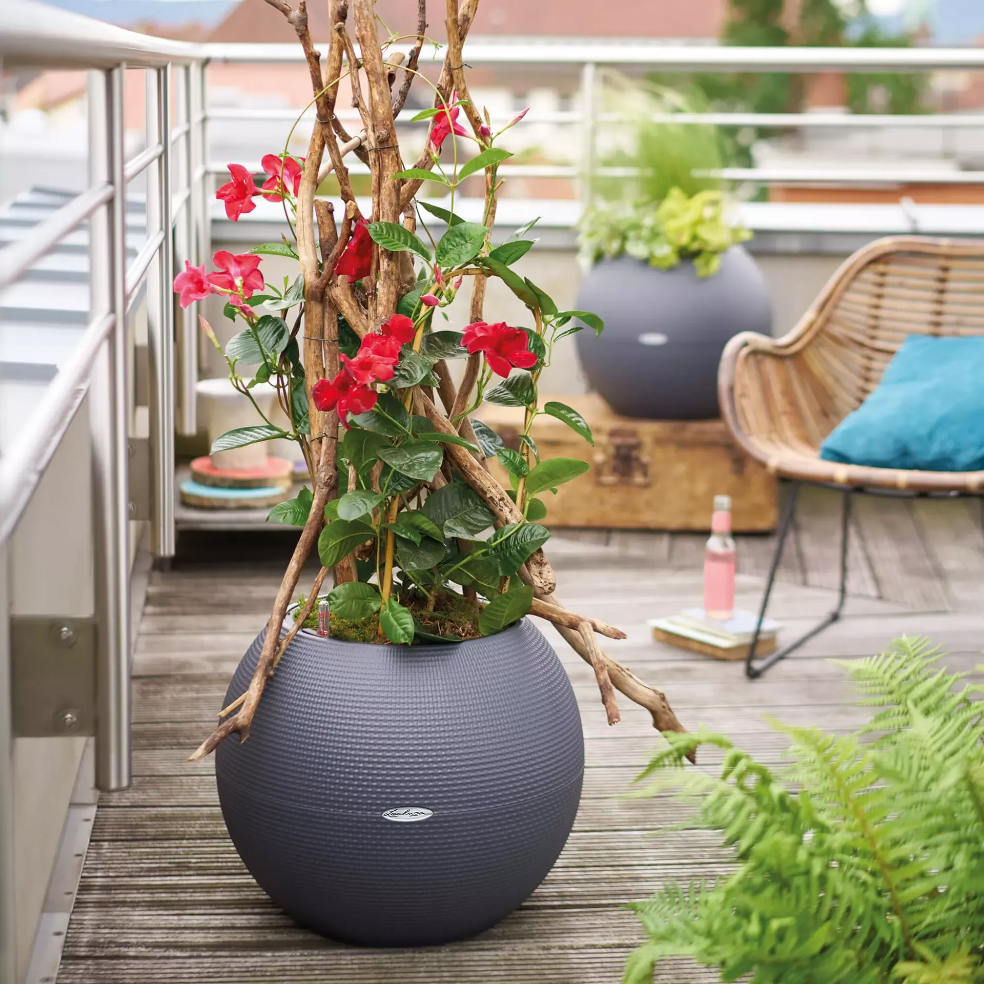 LECHUZA Pflanzgefäß PURO Color 50, Sandbraun, Sandbraun 5 LECHUZA Pflanzgefäß PURO Color 50, Sandbraun, Sandbraun – Bild 3