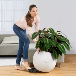 LECHUZA Pflanzgefäß PURO Color 50, Schiefergrau, Schiefergrau -Deutschland Gartenbedarf Verkäufe 2024 lechuza pflanzgefaess puro color 50 schiefergrau 1470686 de