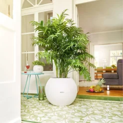 LECHUZA Pflanzgefäß PURO Color 50, Weiß, Weiß