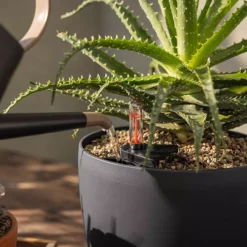 LECHUZA Substrat Basic-PON, 12 Liter -Deutschland Gartenbedarf Verkäufe 2024 lechuza substrat basic pon 12 liter 1613040 de