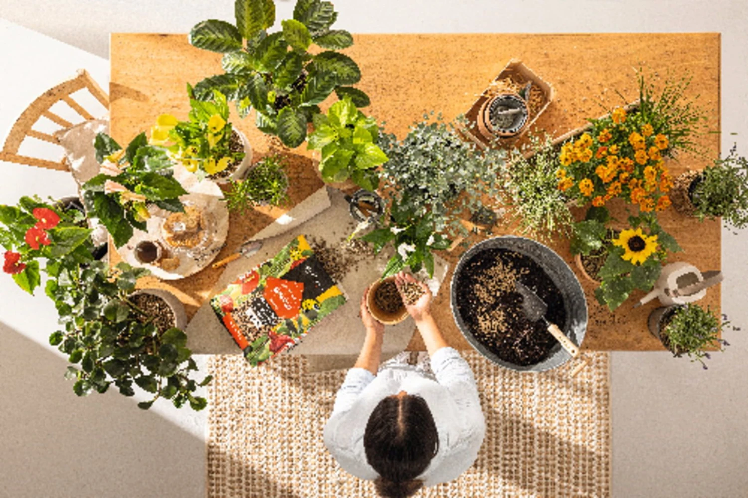 LECHUZA Substrat Mono-PON, 12 Liter 4 LECHUZA Substrat Mono-PON, 12 Liter – Bild 2