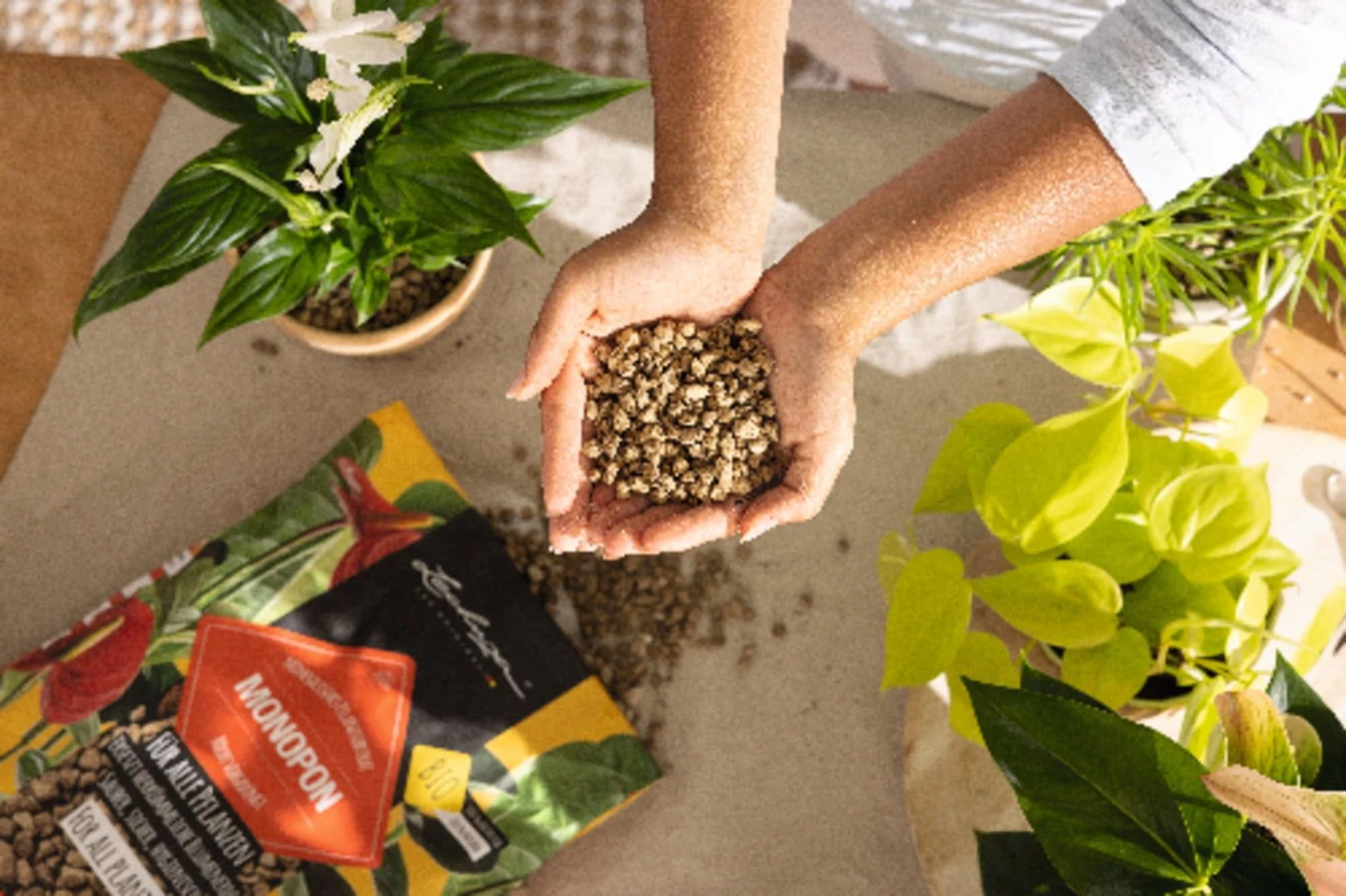 LECHUZA Substrat Mono-PON, 12 Liter 5 LECHUZA Substrat Mono-PON, 12 Liter – Bild 3